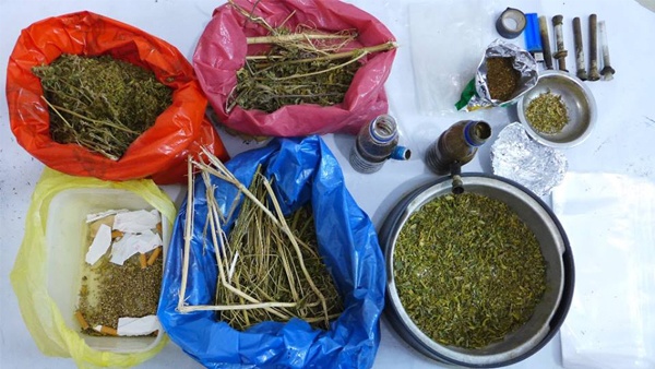 ضبط 2 كغم ماريجوانا في طولكرم